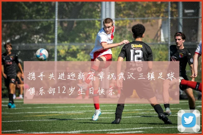 携手共进迎新篇章祝武汉三镇足球俱乐部12岁生日快乐