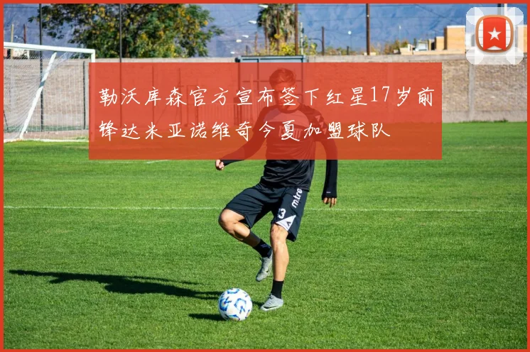 勒沃库森官方宣布签下红星17岁前锋达米亚诺维奇今夏加盟球队